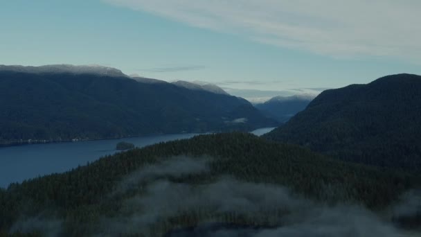 飞过雾蒙蒙的松林 背景是河流和高山 — 图库视频影像