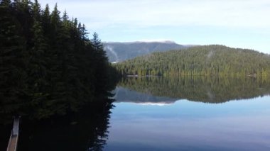 Çam ağaçları ve durgun göl uzak dağlarla güneşli bir günde