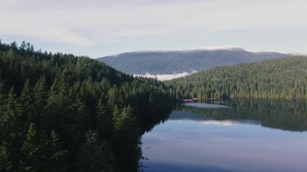 Vlieg Dicht Bij Pijnbomen Rustige Ochtend Meer — Stockvideo