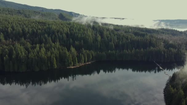 Flygfoto Över Sjön Med Omgivande Skog Täckt Med Morgondimma — Stockvideo