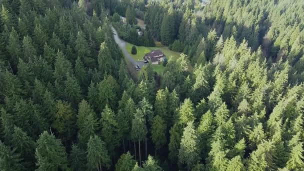 野生の森に囲まれた北アメリカの小さな家の空中ビュー — ストック動画