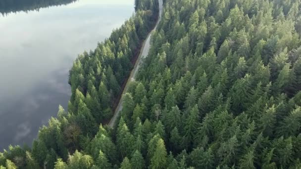 Pequeño Camino Con Coche Conducción Rodeado Por Bosque Pequeño Lago — Vídeo de stock