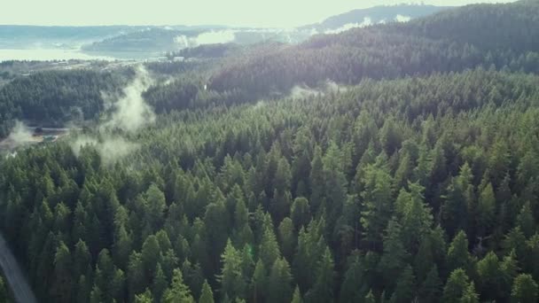 Vista Aérea Montanhas Cobertas Pinheiros Verdes Nuvens Baixas — Vídeo de Stock