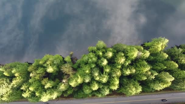 雲の反射と周囲の緑の森と鏡のような湖のトップダウンビュー 車との孤独な道 — ストック動画