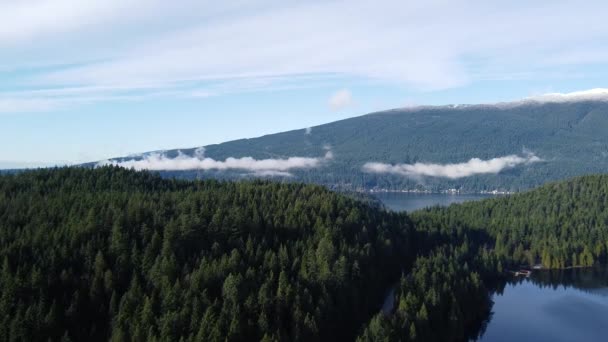 Βουνά Καλυμμένα Δέντρα Πρωινό Χαμηλά Σύννεφα Εναέρια Άποψη — Αρχείο Βίντεο