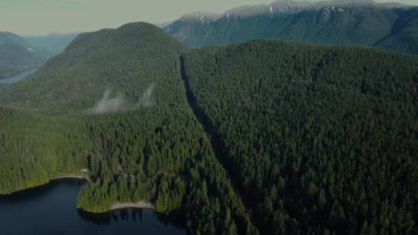 广袤的群山被绿松覆盖着 电线在中间 — 图库视频影像