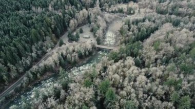 Siyah araba köprüyü geçiyor ve Kanada ormanlarındaki yalnız virajlı yolda ilerliyor.