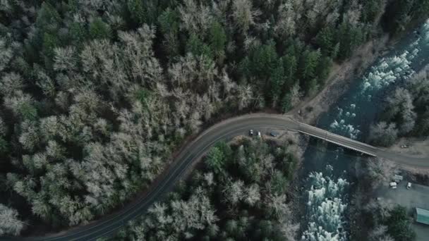 Flyg Över Kanadensisk Skog Slingrande Väg Och Bro Över Floden — Stockvideo