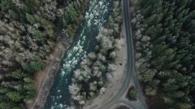 Ormanın ortasındaki ıssız yolun yukarıdan aşağı manzarası ve arada nehir var.