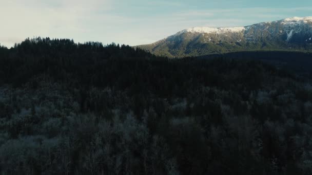 Caída Bosque Canadiense Con Montaña Pico Hielo Detrás — Vídeos de Stock