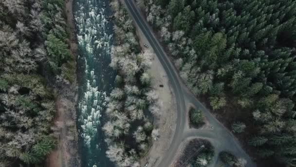 Αεροφωτογραφία Των Ορμητικών Ποταμών Και Των Λευκών Και Πράσινων Πεύκων — Αρχείο Βίντεο