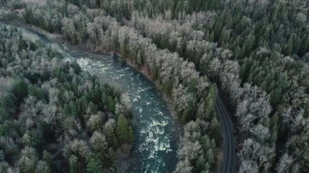 Aerial View Rapids River Surrounding Forest Small Road — Stock Video