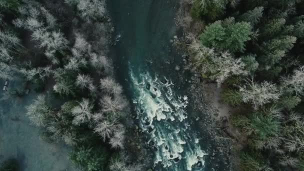 Vista Aérea Corredeiras Rio Água Limpa Onde Deveria Ser Uma — Vídeo de Stock