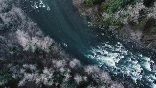 Вид Сверху Пороги Реке Кристально Чистую Воду — стоковое видео