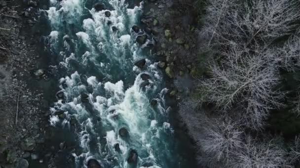 Rio Corredeiras Vista Cima Para Baixo Com Poderoso Rio Canadense — Vídeo de Stock