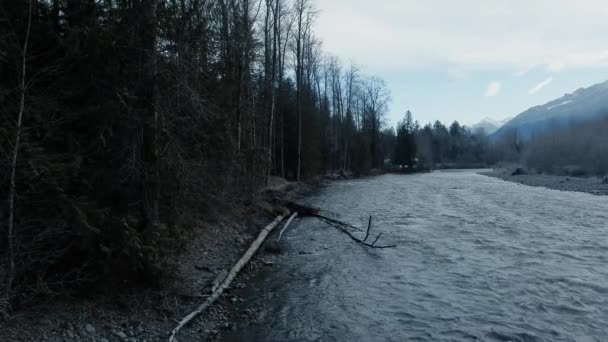 Etablera Bild Fraser Floden Hösten Med Omgivande Skog Och Berg — Stockvideo