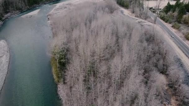 二つの川が合流する場所を飛び越えて 葉のない秋の木 — ストック動画