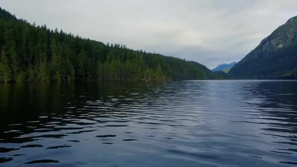 Blue Lake Hills Covered Green Pine Trees Sunny Day — Stockvideo