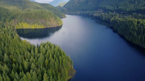 Aerial View Calm River Surrounded Green Forest — Stockvideo
