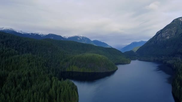 Aerial View River Surrounding Mountains Green Pine Trees — Stockvideo