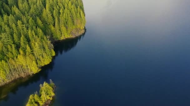 Volar Sobre Agua Limpia Tranquila Con Los Pinos Verdes Lado — Vídeo de stock