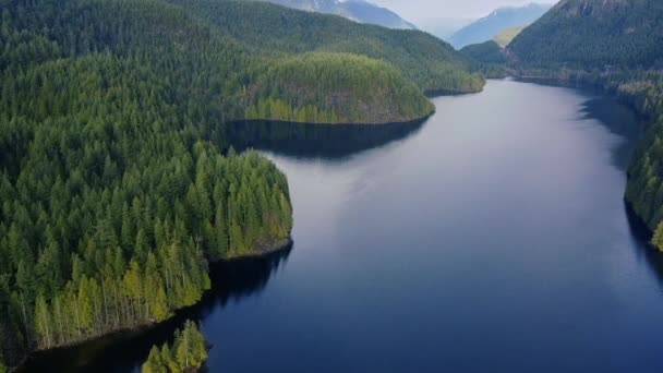 Fly Den Blå Elva Fjellene Rundt Med Grønne Furutrærne Skog – stockvideo