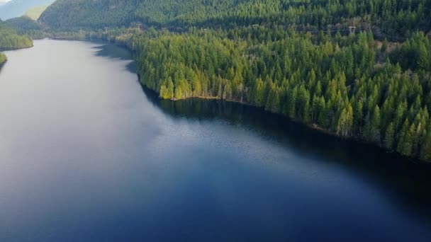 松の木や電線で覆われた山々と晴れた日に青い穏やかな川の空中ビュー — ストック動画