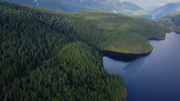Вид Воздуха Кристально Чистое Голубое Озеро Окружающие Холмы Зелеными Соснами — стоковое видео