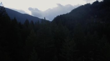 Dağlar ve yeşil çam ağaçları arasında saklanan köprünün açılışı.