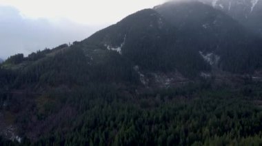 Yağmurlu bir günde yeşil çam ağaçlarıyla kaplı dağın havadan görünüşü