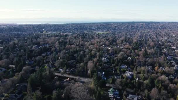 Vlieg Het Landschap Van Vancouver Met Groene Grijze Bomen Huizen — Stockvideo