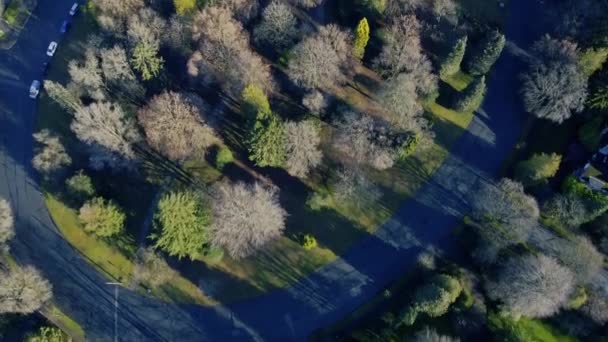 Widok Góry Owalny Park Zielonymi Szarymi Drzewami Piękny Słoneczny Dzień — Wideo stockowe