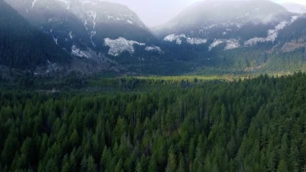 Öppningsskott Bergen Delvis Täckt Med Snö Och Den Gröna Skogen — Stockvideo