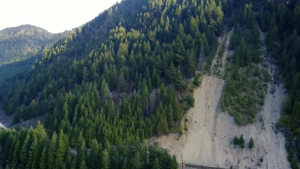 Bosque Montaña Avalancha Están Día Soleado — Vídeo de stock