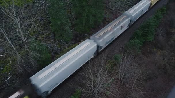 Train Sur Chemin Fer Dans Forêt Verte Sauvage Canada — Video