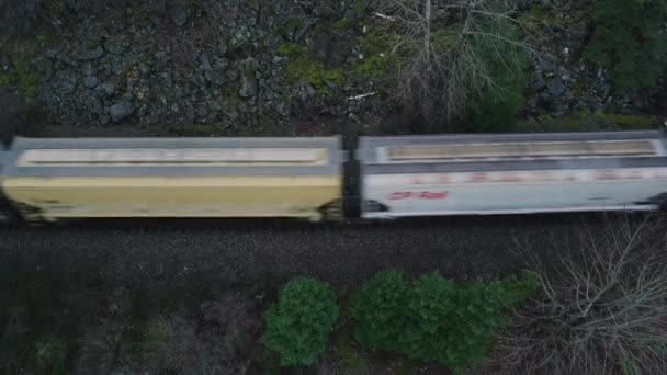 Pohled Shora Dolů Nákladní Vlak Projíždějící Divokým Kanadským Lesem — Stock video