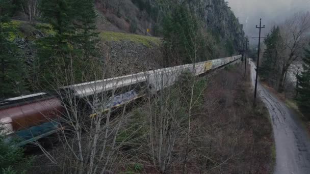 Velmi Dlouhý Kanadský Vlak Směřující Tunelu — Stock video