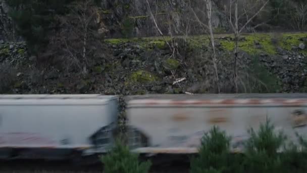 Güterzug Hinter Den Kiefern — Stockvideo