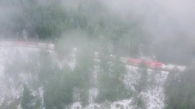 Trenin Britanya Kolombiya Ormanı 'ndaki havadan görüntüsü.