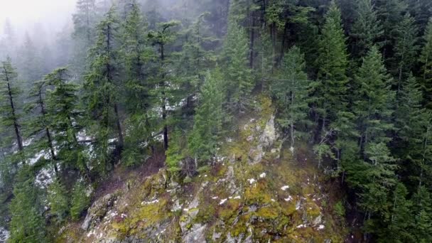 Montanha Canadense Com Rochas Pinheiros Verdes Com Pouco Nevoeiro — Vídeo de Stock