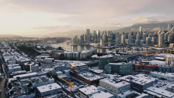 Fly Vancouver Downtown False Creek Yachts Big Cargo Ships Awaiting — Stock Video