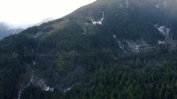 Verde Pinos Montaña Lento Movimiento Cámara Pan Abajo — Vídeo de stock