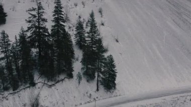 Kış aylarında çığ üzerinde uçarken etraftaki ağaçlarla birlikte.