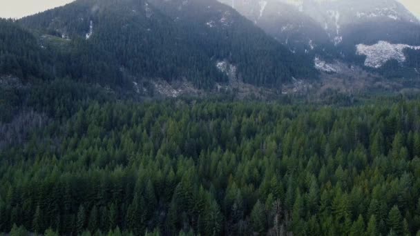 Vuela Sobre Verde Bosque Montañoso Con Poco Nieve — Vídeos de Stock