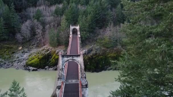 Slotopname Van Oude Brug Met Dennenbomen Voorop Langzaam Bewegende Rivier — Stockvideo