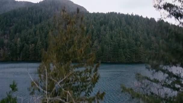 Vue Ouverture Lac Avec Les Pins Verts Devant Caméra — Video