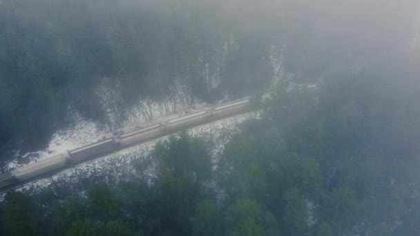 在覆盖着晨雾的雪地森林中的火车的空中景观 — 图库视频影像