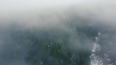 Alçak bulutlarla kaplı ormanın üzerinden uç