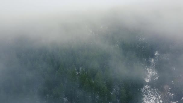 Voar Sobre Floresta Coberta Com Nuvens Baixas — Vídeo de Stock
