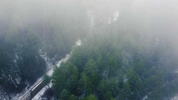 Pohled Shora Dolů Vlak Projíždějící Zimě Zamračeným Lesem — Stock video